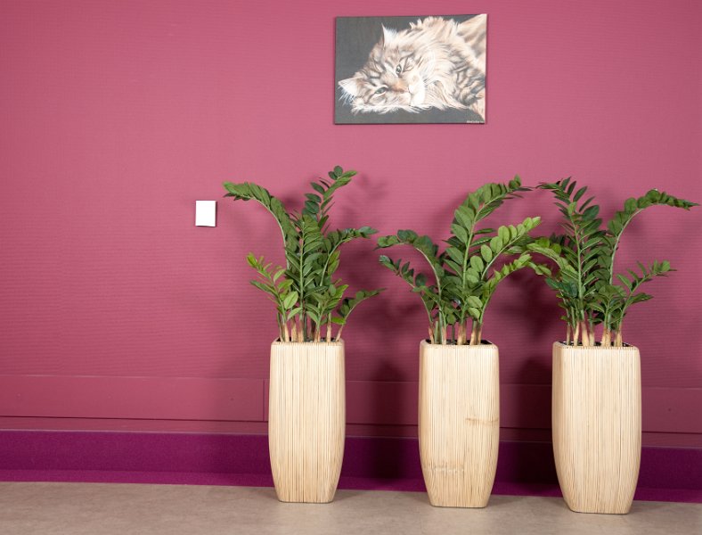 Mekelenkamp kunstplantenwinkel.nl project buitensluit (21 van 25)